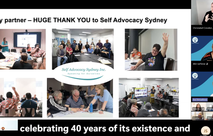 Webinar screenshot
