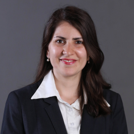 Dr Fatemeh Aminpour