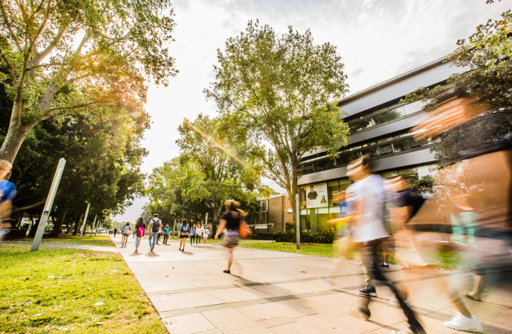 Image of UNSW campus main walkway 