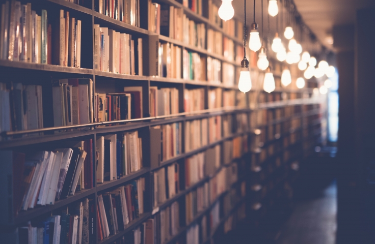 A cosy library lit with hanging bulbs